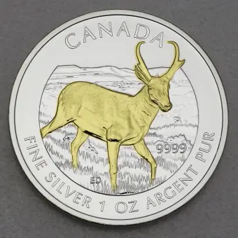 Silbermünze 1oz "Antilope" 2013 (vergoldet) Wildlife Canada (Kanada) Online Kaufen
