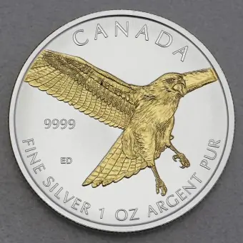 Silbermünze 1oz "Red-tailed Hawk" 2015 (vergoldet) Birds of Prey (Kanada) Super-Preis
