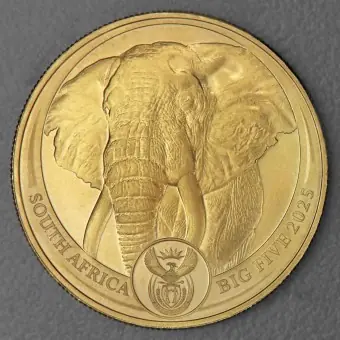 Goldmünze 1oz "Elefant" 2025 Big Five II (Südafrika) Neuheit