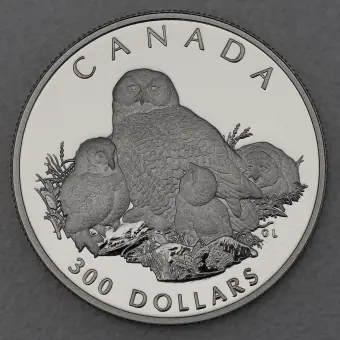 Platinmünze 1oz "Snowy Owl" 1991 Wildlife Canada (Kanada) Echt