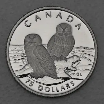 Platinmünze 1/4oz "Snowy Owl" 1991 Wildlife Canada (Kanada) Online Kaufen