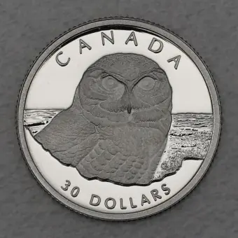 Platinmünze 1/10oz "Snowy Owl" 1991 Wildlife Canada (Kanada) Top-Angebot