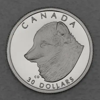 Preisreduziert Platinmünze 1/10oz "Arctic Fox" 1993 Wildlife Canada (Kanada)
