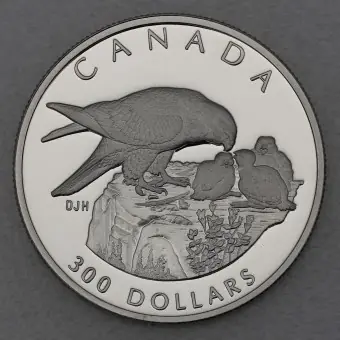 Platinmünze 1oz "Peregrine Falcon" 1996 Wildlife Canada (Kanada) Mengenrabatt