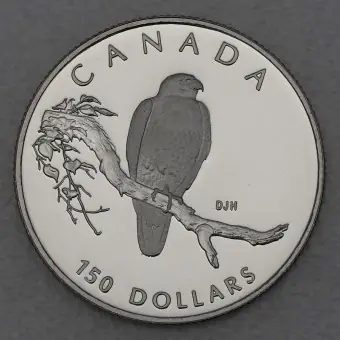 Markenware Platinmünze 1/2oz "Peregrine Falcon" 1996 Wildlife Canada (Kanada)