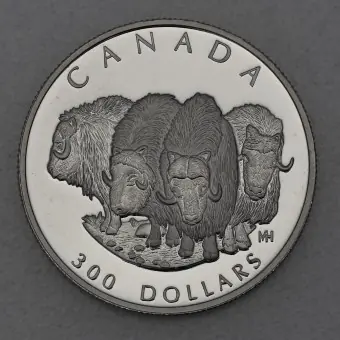 Geld-Zurück-Garantie Platinmünze 1oz "Muskox" 1999 Wildlife Canada (Kanada)