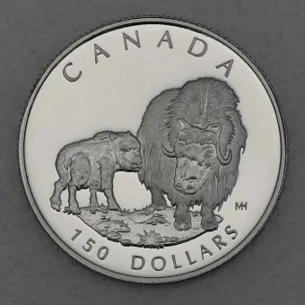 Mega-Angebot Platinmünze 1/2oz "Muskox" 1999 Wildlife Canada (Kanada)