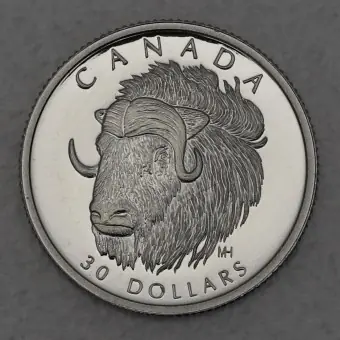 Platinmünze 1/10oz "Muskox" 1999 Wildlife Canada (Kanada) Preisreduziert