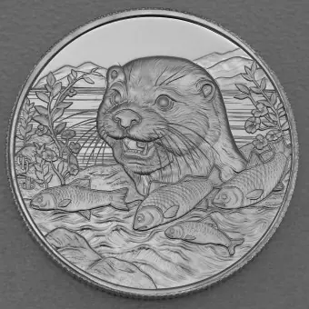 Silbermünze 1oz "Otter" 2024 Piscivore Serie (Kamerun) Online Kaufen