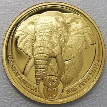 Goldmünze 1oz "Elefant" 2019 (PP) Big Five I (Südafrika) Online Kaufen