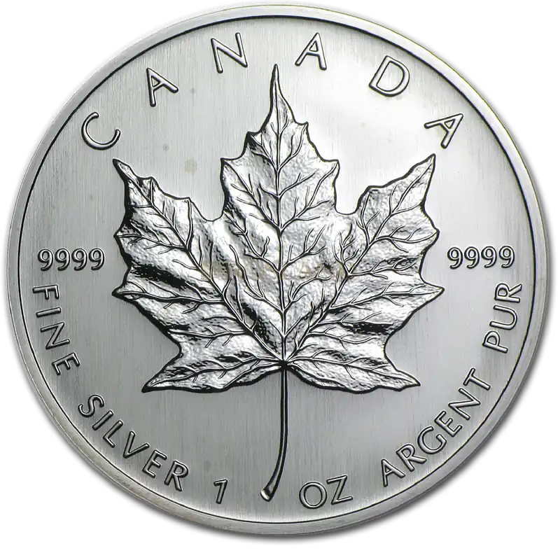 1 Unze Silbermünze Kanada Maple Leaf 2004 Kostenloser Rückversand