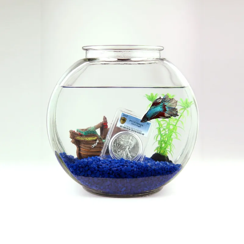 PCGS Goldmünzen Oster-Grading Aktion 2025 Direkt Vom Hersteller