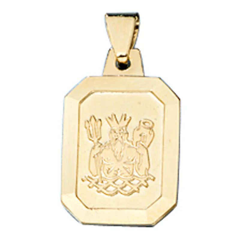 Wochenendangebot Sternzeichen Wassermann - Anhänger 9,2x14,7mm aus 333 Gold Gelbgold Unisex