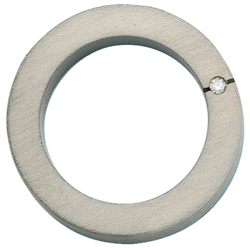 Abverkauf Anhänger aus Titan mit Diamant 0.03Ct W/SI Brillant Kreisförmig mattiert Damen
