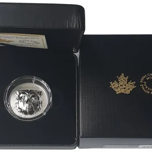 Exklusiv 1 Oz Silber Grizzly Bär 2020 PP - Facettenreiche Tierköpfe High Relief Prägung