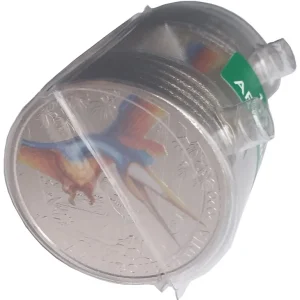 Online Kaufen 10 x 3 Euro Arambourgiania Flugsaurier 2020 - Dino-Taler-Serie aus Österreich Dinosaurier