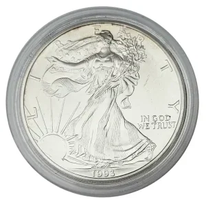 USA 1 Dollar 1 Oz Silber American Eagle 1993 Angebot