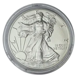 Garantierte Lieferung USA 1 Dollar 1 Oz Silber American Eagle 2019
