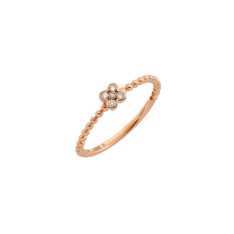 Weltweiter Versand Ring